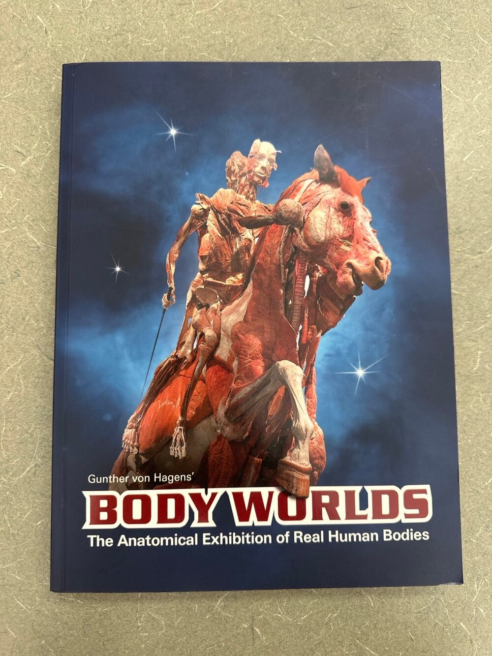 Body Worlds Anatomical Exhibition Real Human Bodies Hardcover Gunther Von Hagens